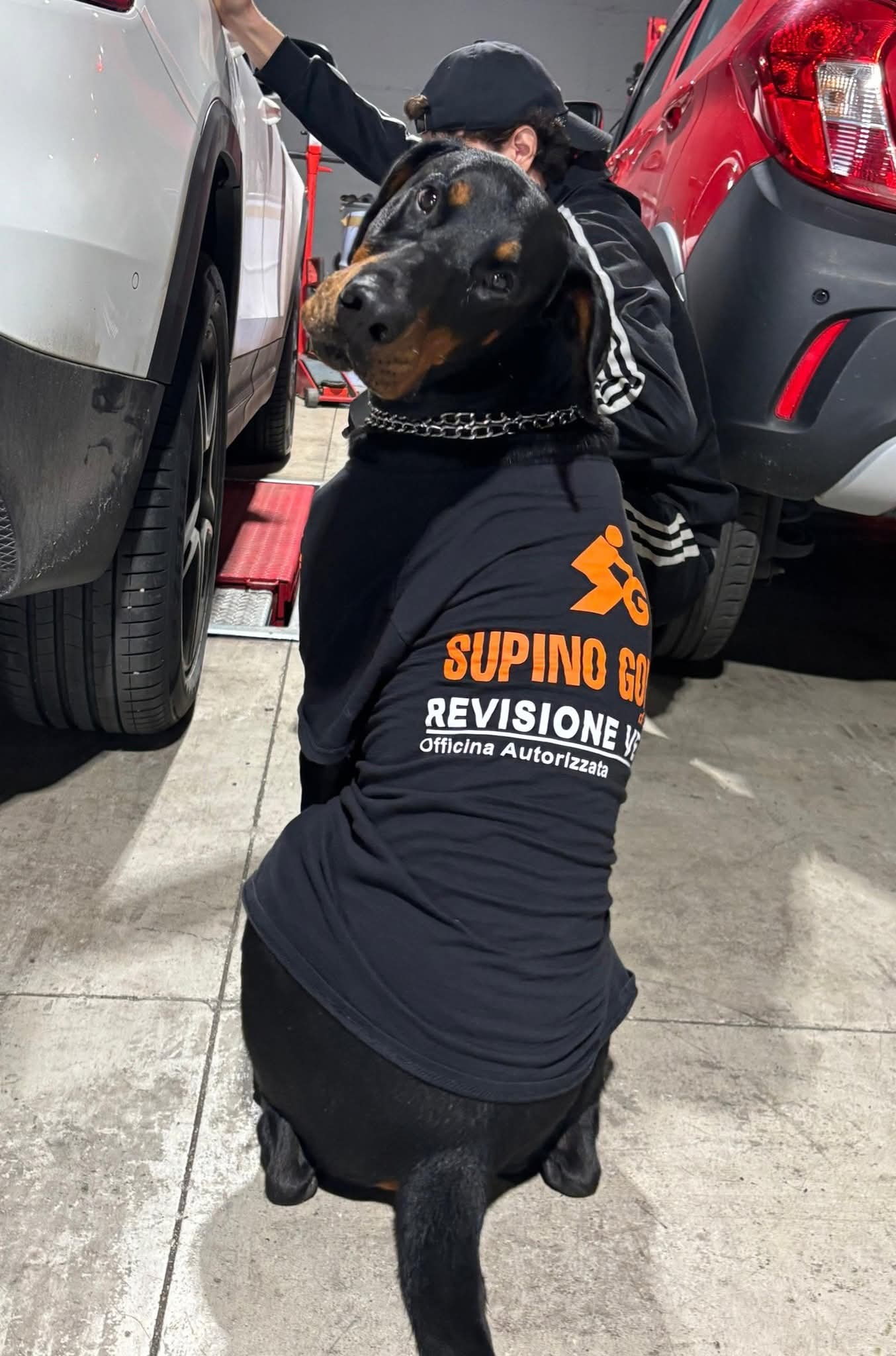 La nostra Mascotte